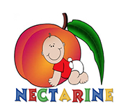 NECTARINE